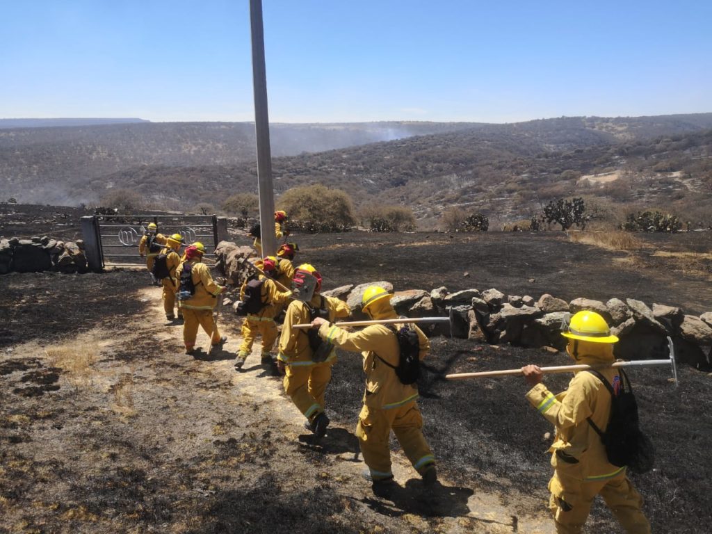 Cuerpos de seguridad y emergencia se encuentran combatiendo en estos  momentos un incendio que se registra en la Sierra de Lobos – Boletines  Dependencias