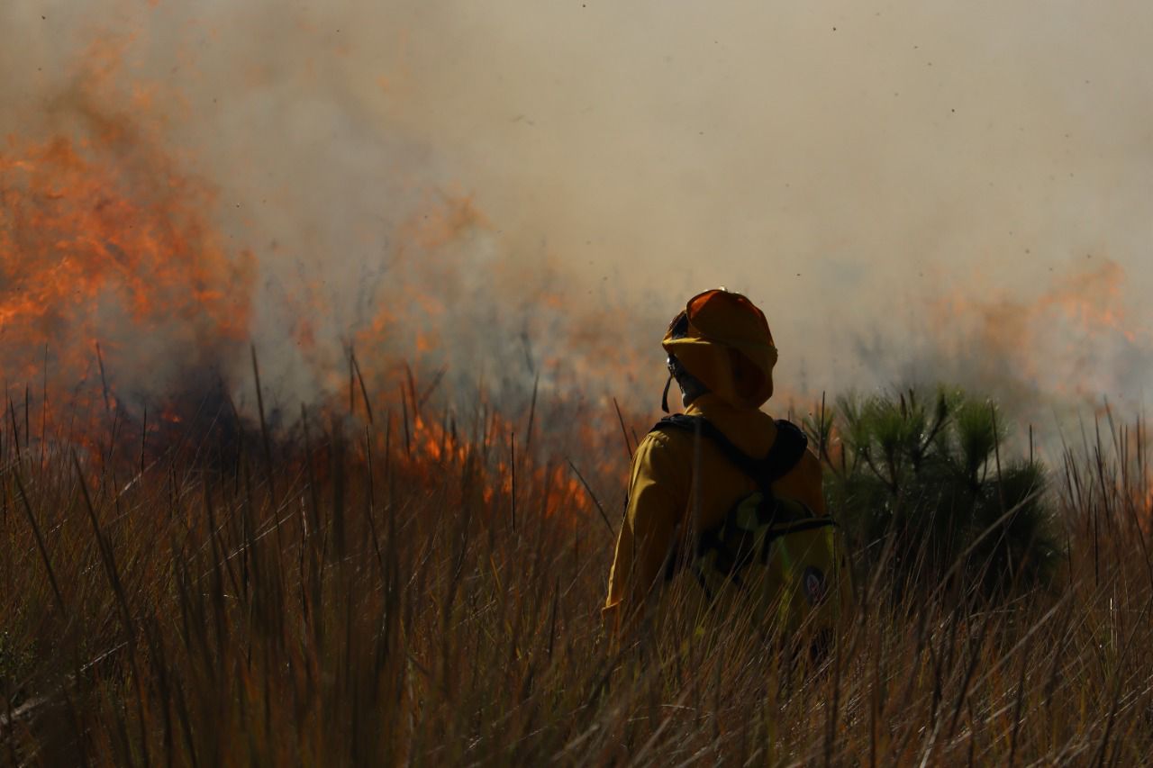 Guanajuato Conserva Y Protege Su Biodiversidad A Través De La Prevención Y Combate De Incendios 2546