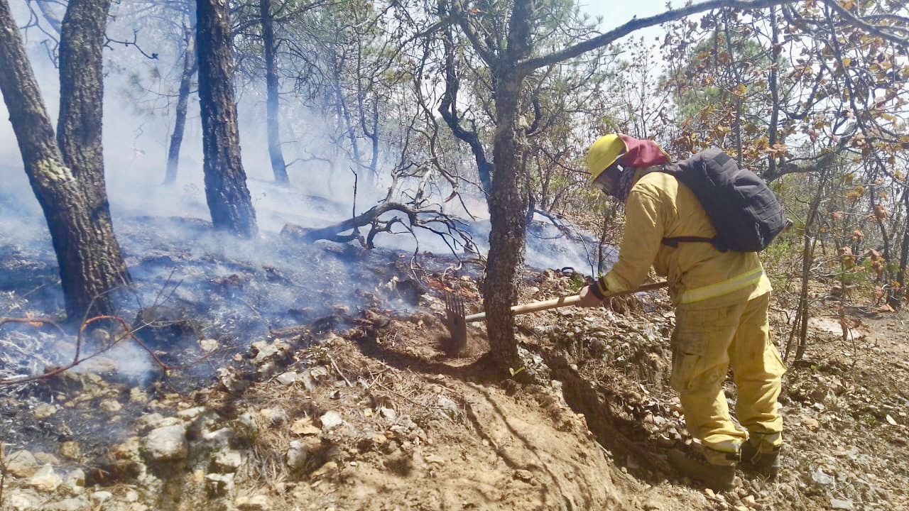 Abren líneas cortafuego en perímetros de la línea de las llamas para contener avance del incendio en la Sierra de Santa Rosa