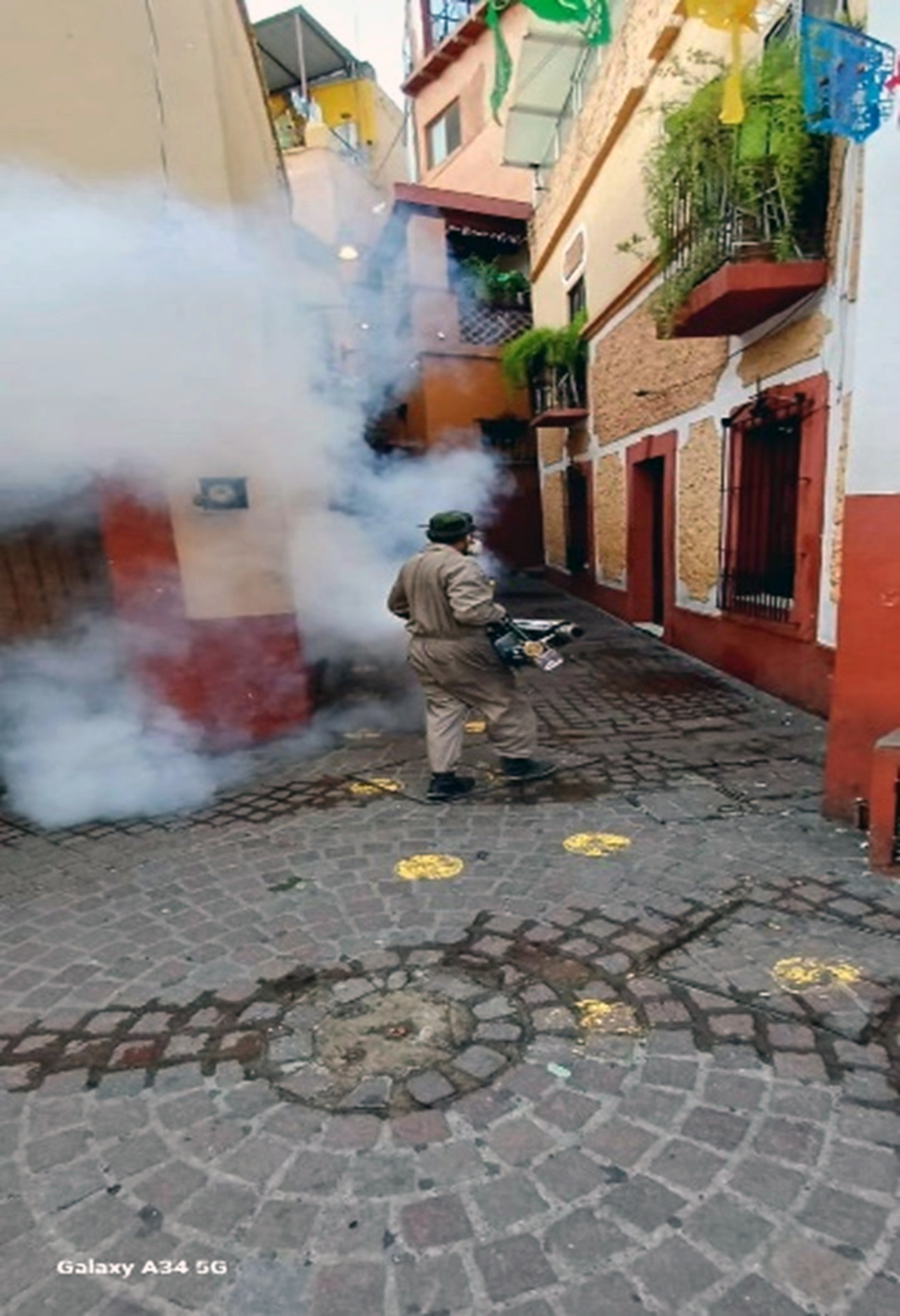 SSG aumenta actividades para la prevención del dengue en Guanajuato Capital