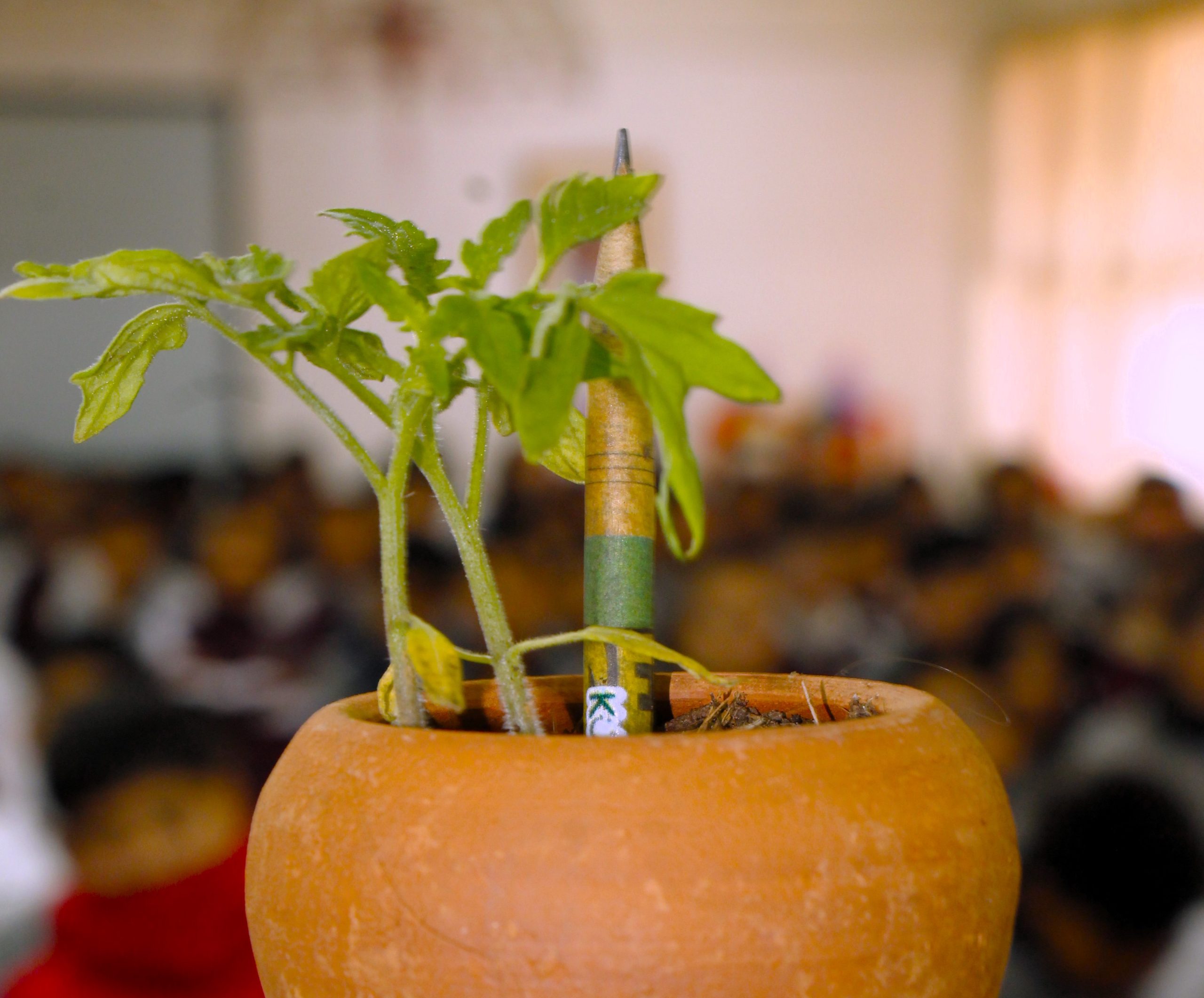 Unidos por una educación ambiental