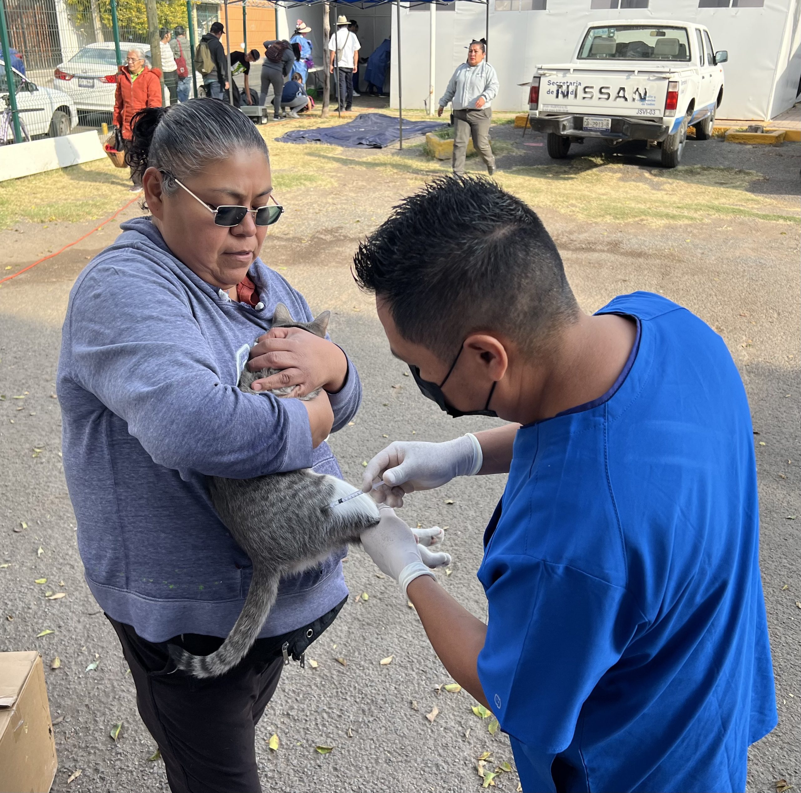 SSG  realiza esterilizaciones  por el Día Internacional del Gato