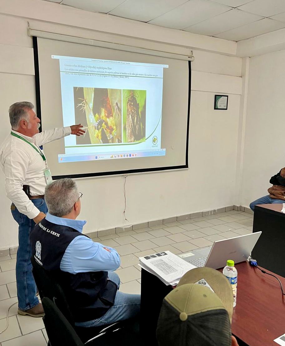 Fortalecen Capacidades Productivas con el Manejo Sostenible del Nopal Forrajero en San Francisco del Rincón