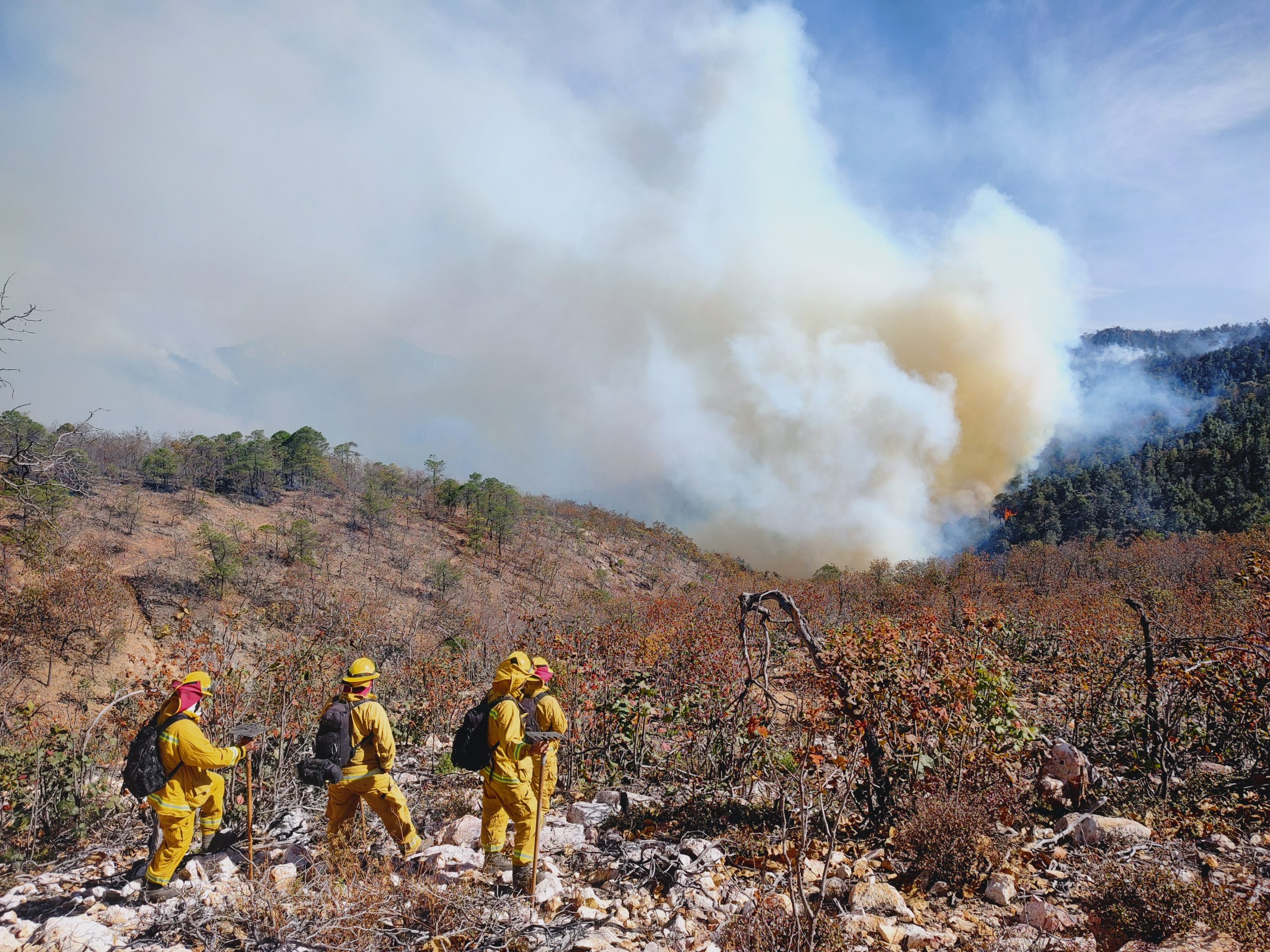 La Coordinación Estatal de Protección Civil cuenta con un equipo especializado para proteger a la biodiversidad de una de sus mayores amenazas: los incendios forestales.