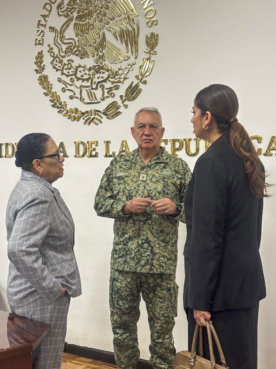 Acuerda Libia Dennise con la Presidenta de México acciones de reforzamiento a la estrategia de colaboración para construir la paz en Guanajuato