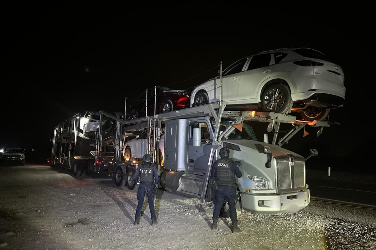 Como parte de las acciones permanentes de prevención y vigilancia en la red carretera federal, en las que también participa la Secretaría de Seguridad y Paz de Guanajuato, integrantes de las Fuerzas de Seguridad Pública del Estado de Guanajuato (FSPE), detuvieron a un hombre por su presunta responsabilidad en los delitos de portación de arma de fuego de uso exclusivo, robo con violencia y privación ilegal de la libertad, en hechos registrados sobre la carretera León–Salamanca, a la altura del municipio de Irapuato. 