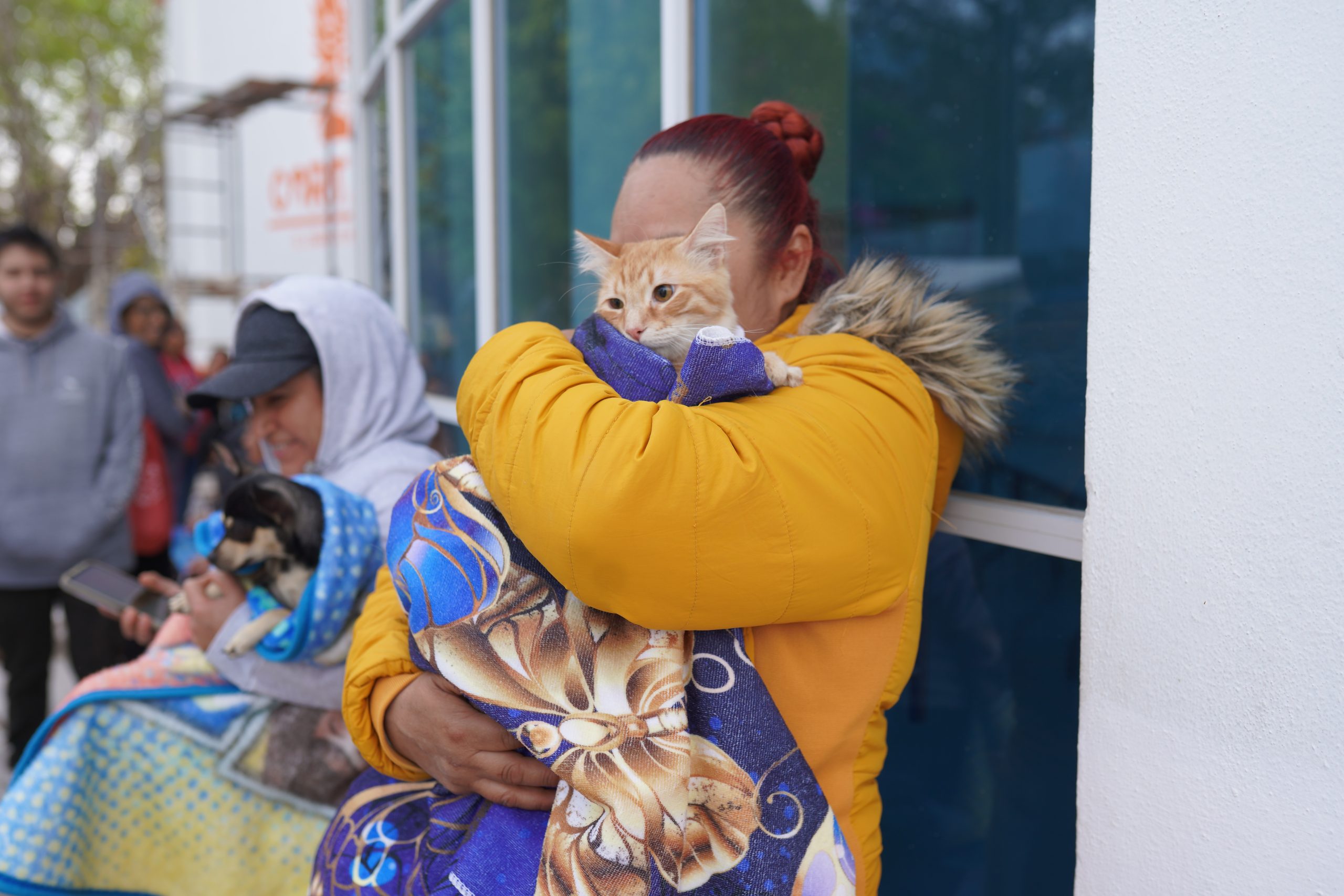 SSG esterilizó a 350 perros y gatos  en Cortazar