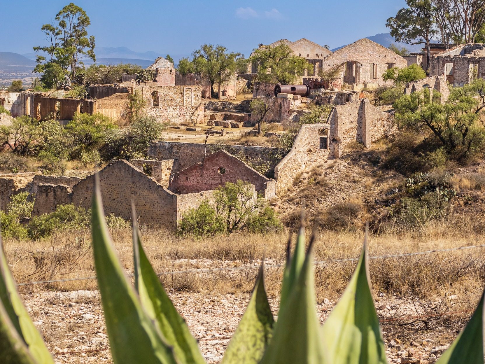 Guanajuato nominado en tres premios 