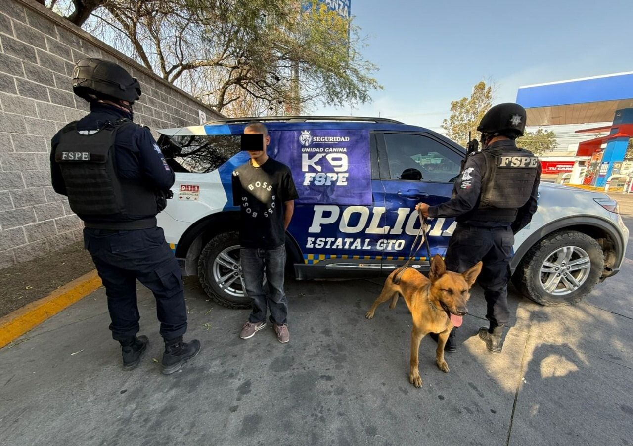 Deny, oficial canino de la Secretaría de Seguridad y Paz, apoya en la detención de un hombre armado en León