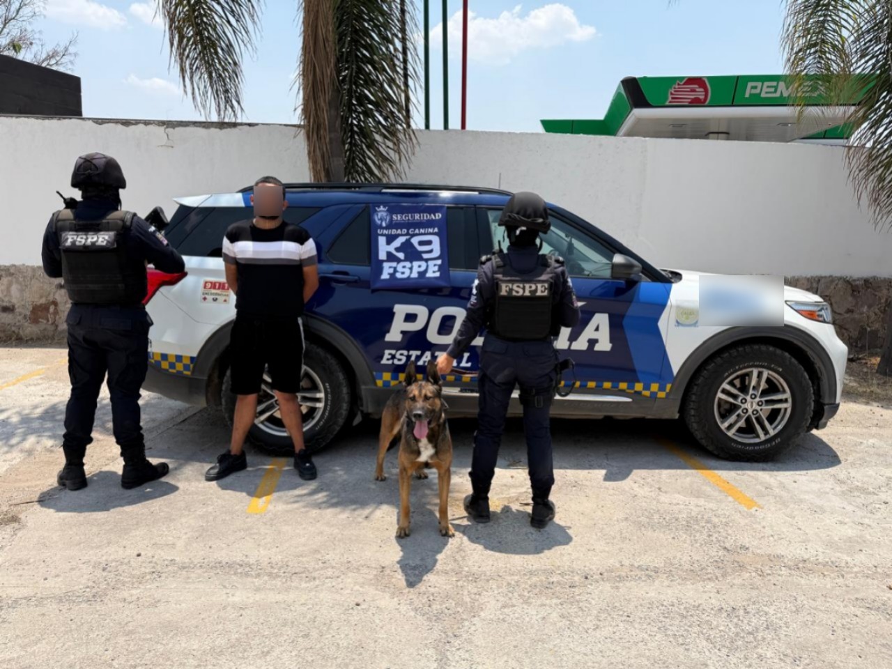 Durante patrullajes realizados en San Francisco del Rincón, Figo marcó a un joven de 19 años de edad que portaba varias dosis de marihuana. Fue detenido y puesto a disposición del Ministerio Público.