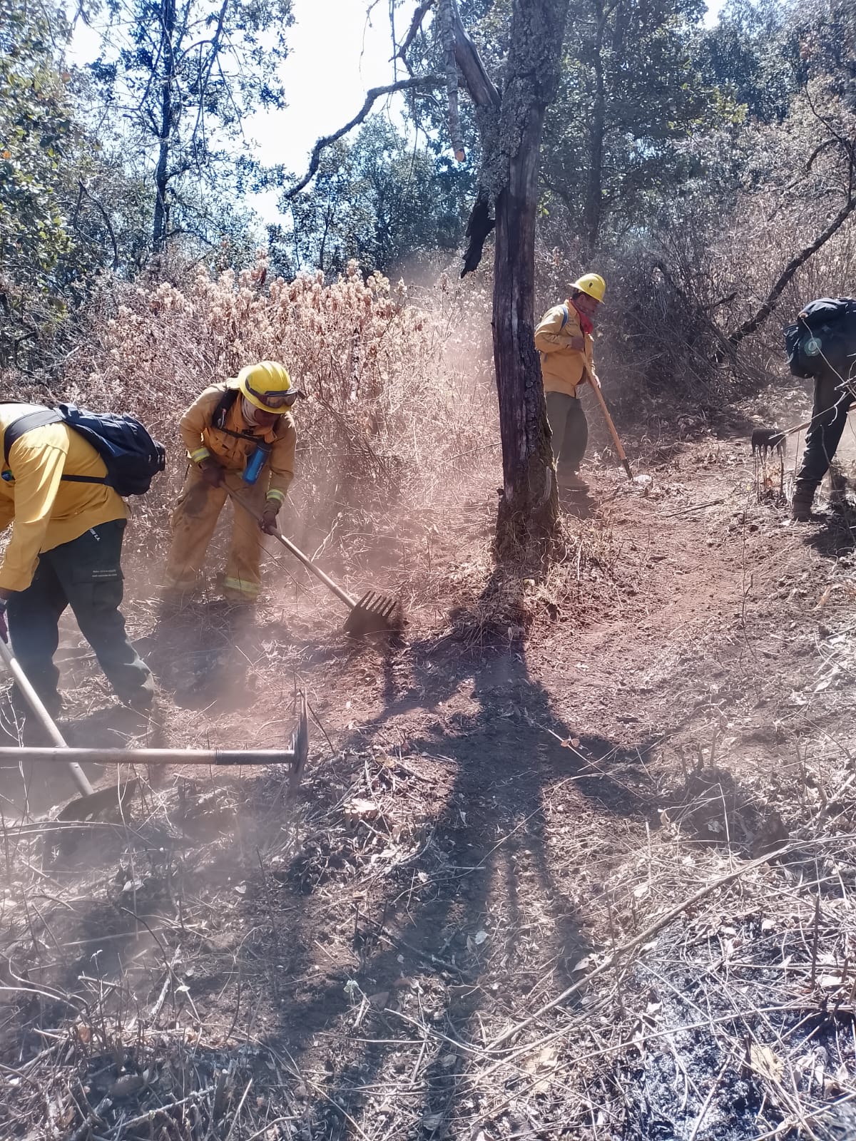 Trabajan en equipo y suman esfuerzos en la atención a incendios forestales
