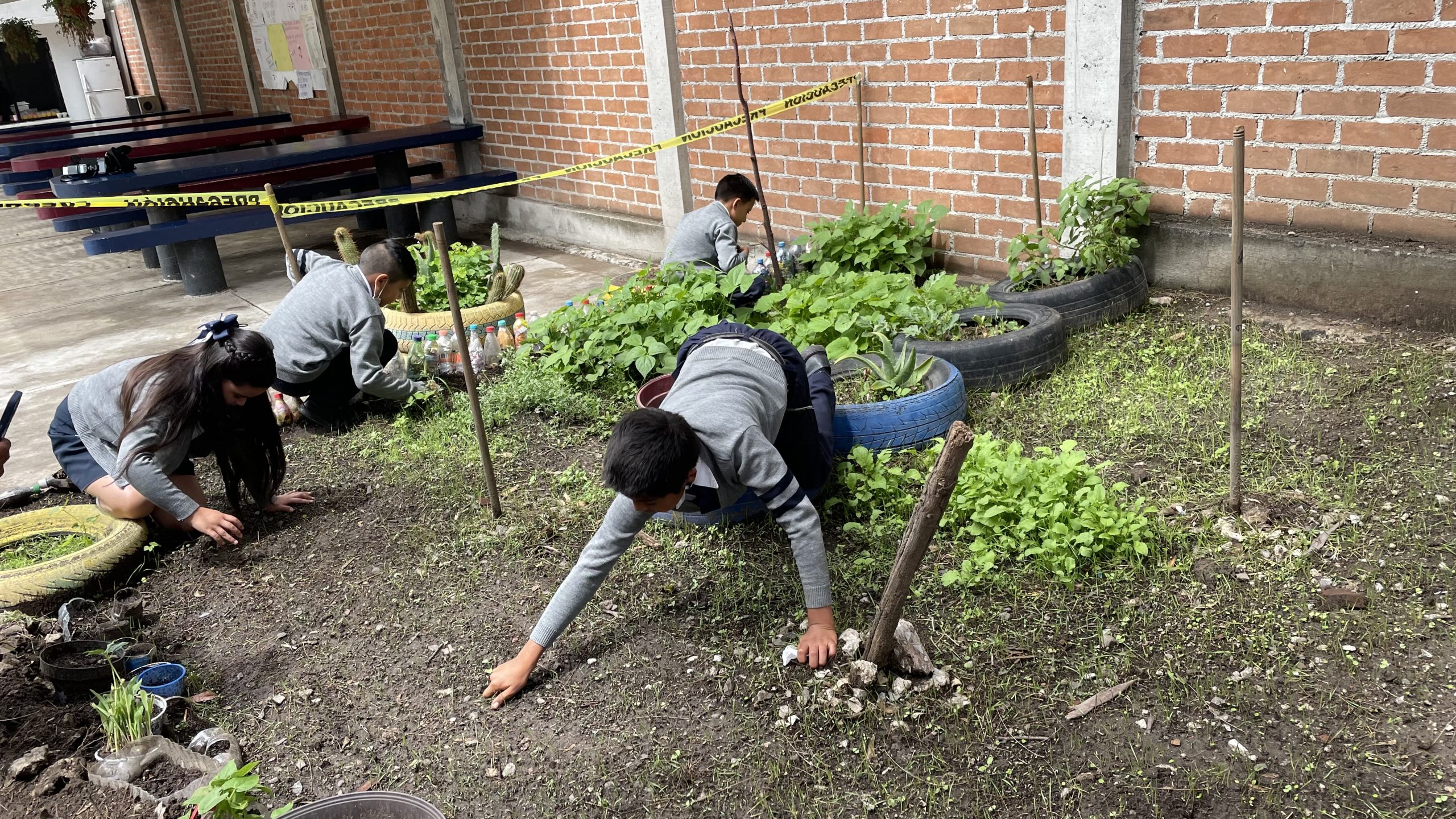 Promueve SEG espacios de aprendizaje y conciencia ambiental en escuelas de educación básica