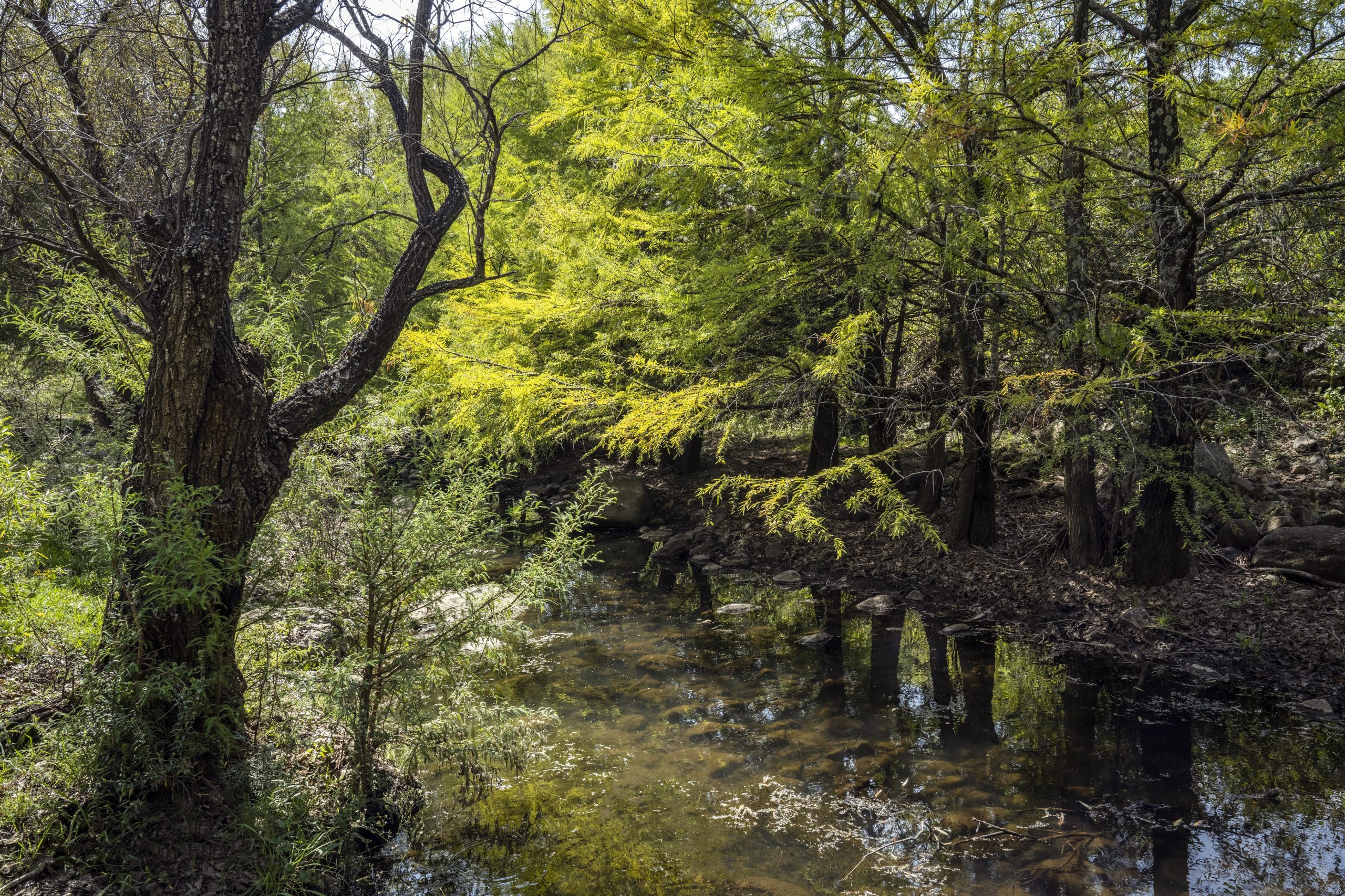 Trabajan en la conservación y protección de las Áreas Naturales Protegidas.