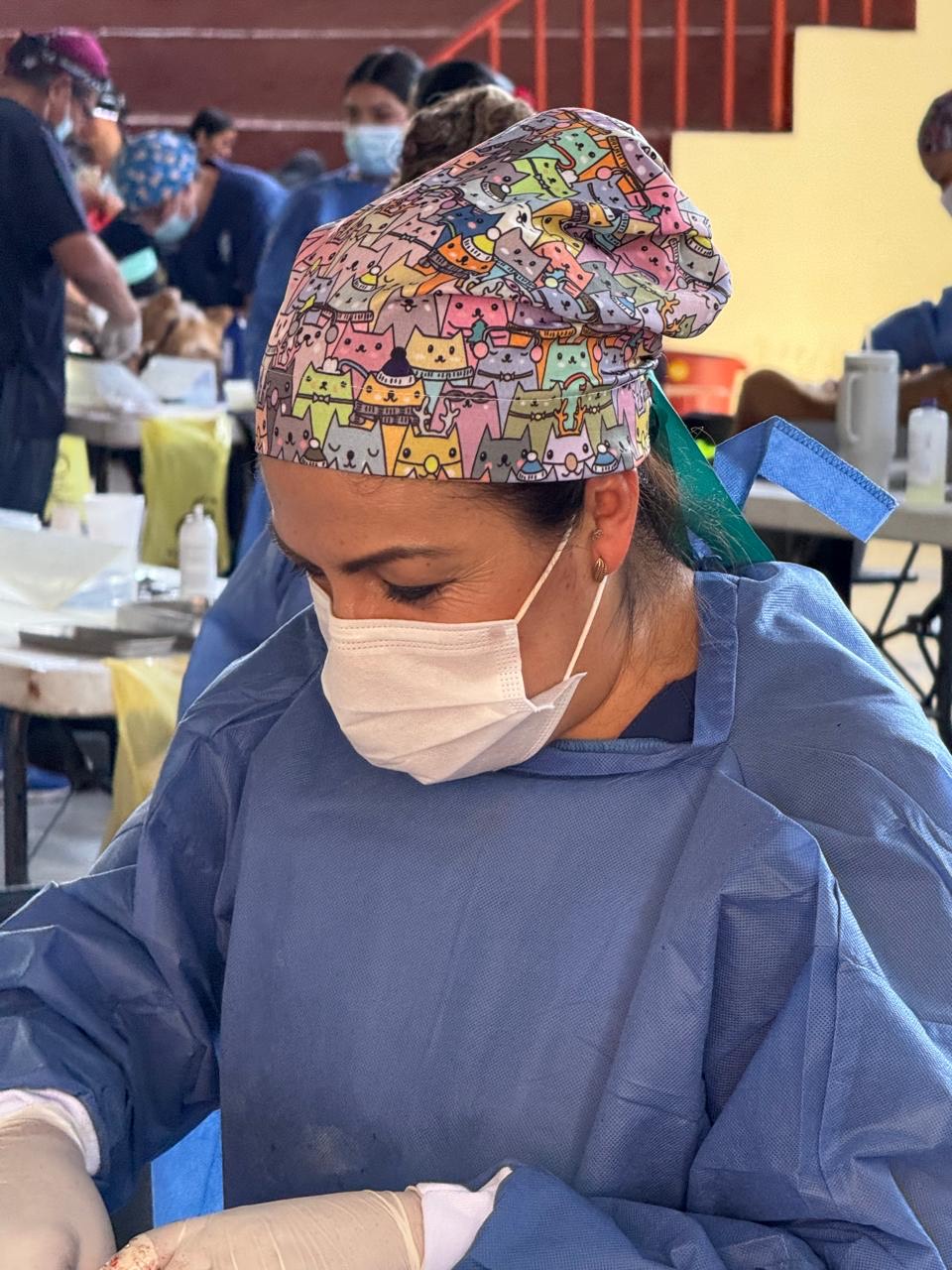 SSG  realiza esterilización de 282 mascotas en el municipio de Pénjamo.
