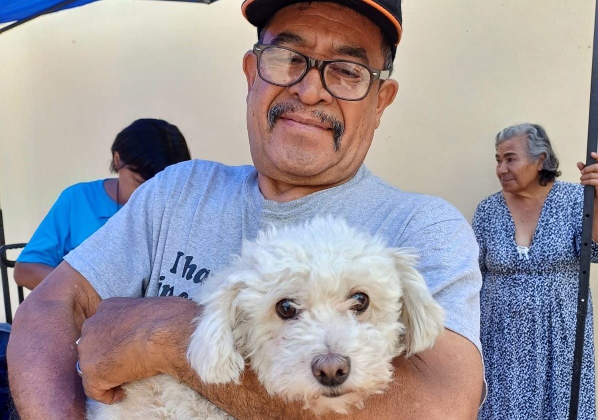 SSG esteriliza a más de 4 mil perros y gatos entre 6 municipios.