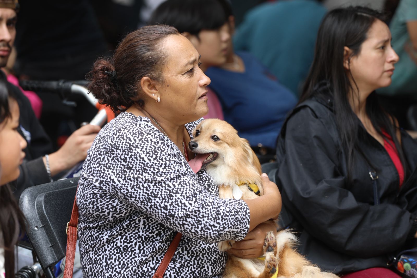 SSG realizó una Jornada masiva de Esterilización Canina y Felina en Celaya.