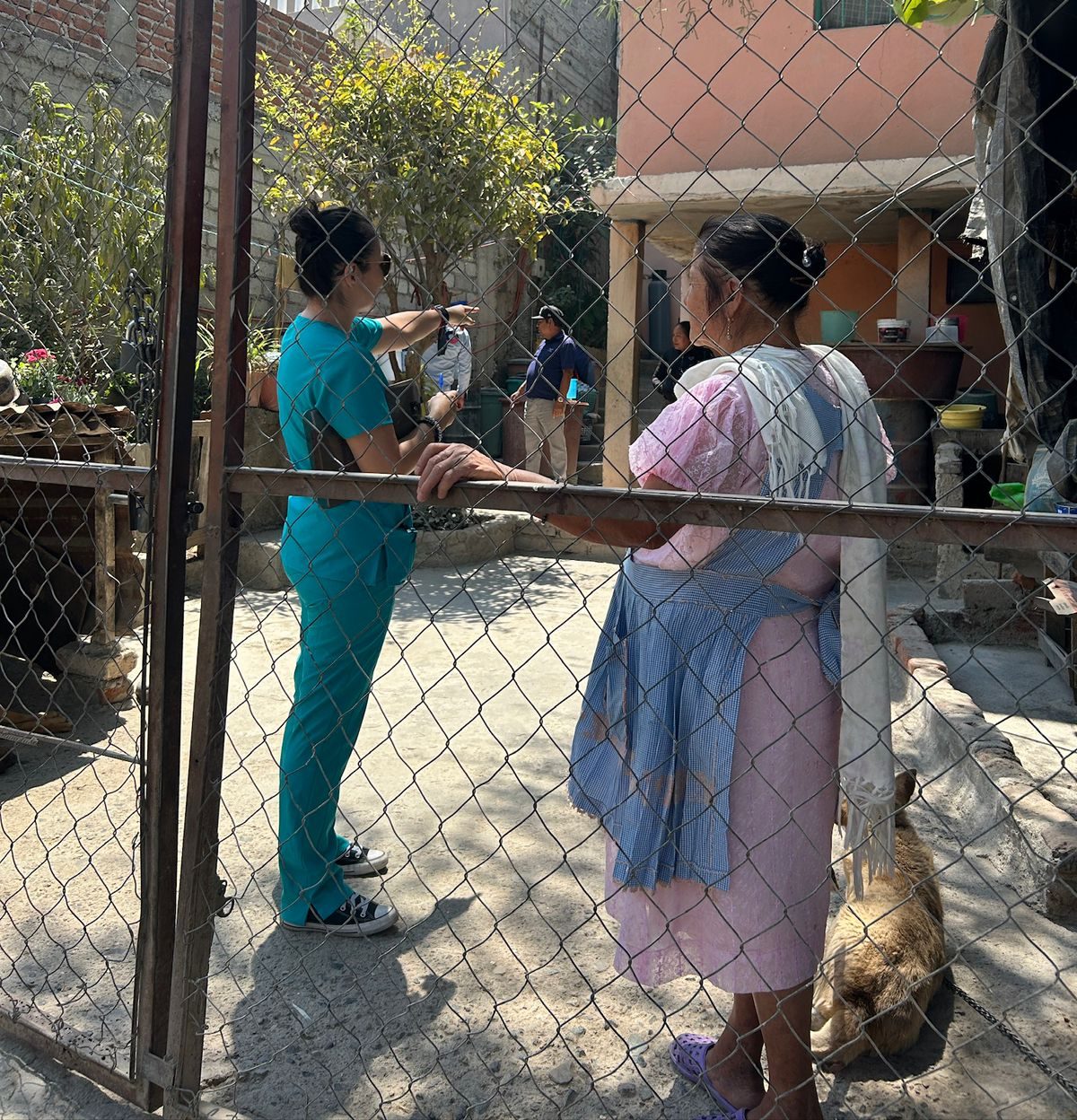 SSG aumentó las actividades contra el dengue en León.