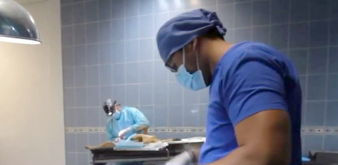 SSG cuenta con una campaña permanente de esterilización de perros y gatos en el municipio de León.