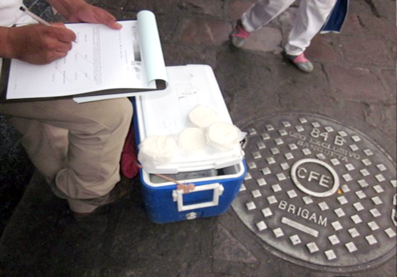 SSG destruye 18 kilogramos de queso fuera de norma sanitaria en varios municipios.