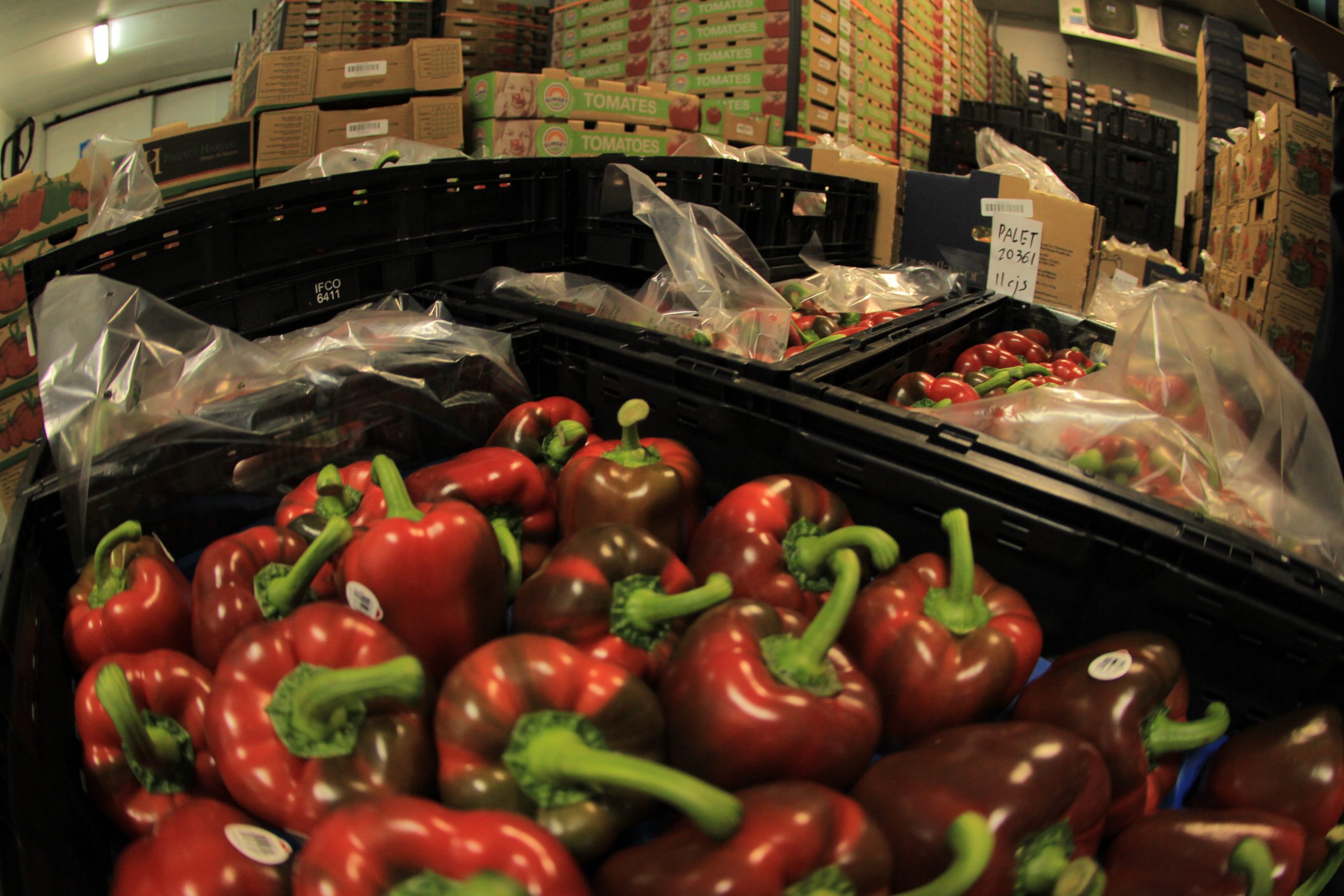 Empresas agroalimentarias de municipios como San Francisco del Rincón, Celaya y Dolores Hidalgo participaron en el primer webinar “Sabores que Traspasan Fronteras”, una iniciativa de COFOC
E que busca llevar capacitación exportadora gratuita a todas las regiones de Guanajuato.