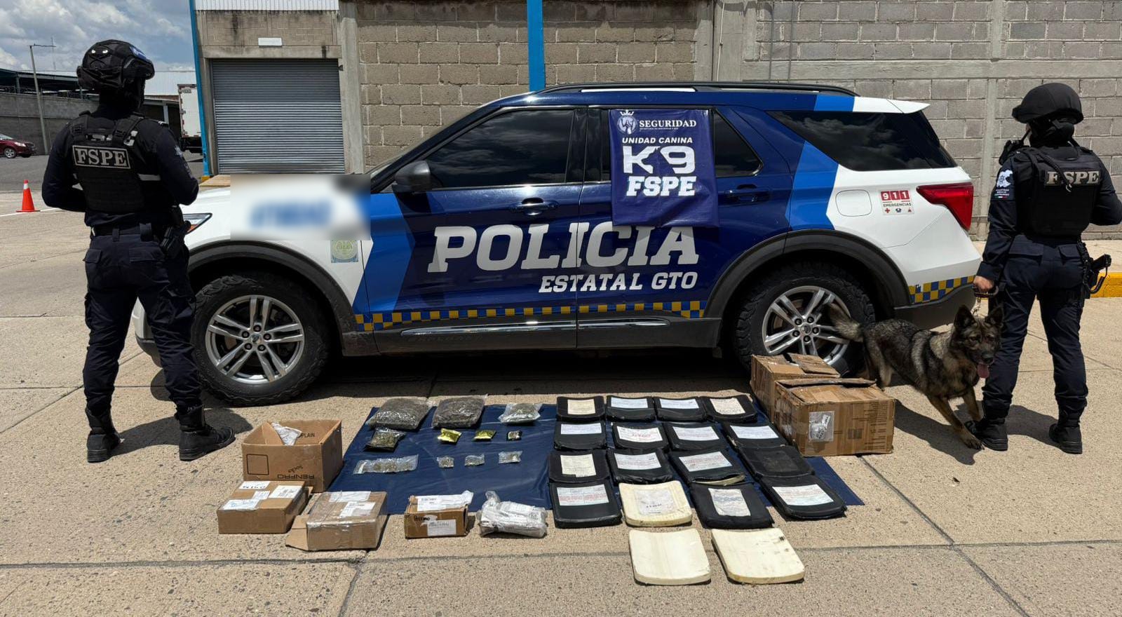 El binomio K9 detectó siete paquetes con más de mil 200 dosis de presunta marihuana y 18 placas balísticas en una empresa ubicada en la colonia Bugambilias.

Los envíos tenían como remitentes y destinatarios a distintas personas de Guanajuato y otras entidades.