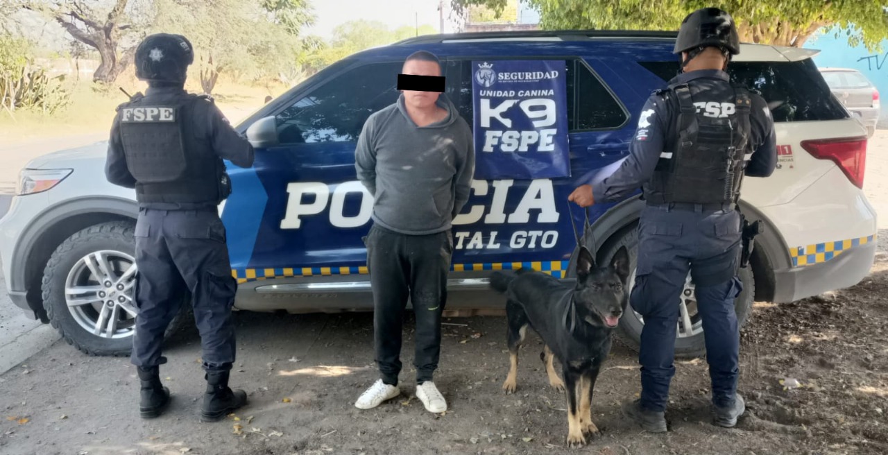 Agente canino 'Gaby' de FSPE detecta a hombre con más de mil dosis de droga en León