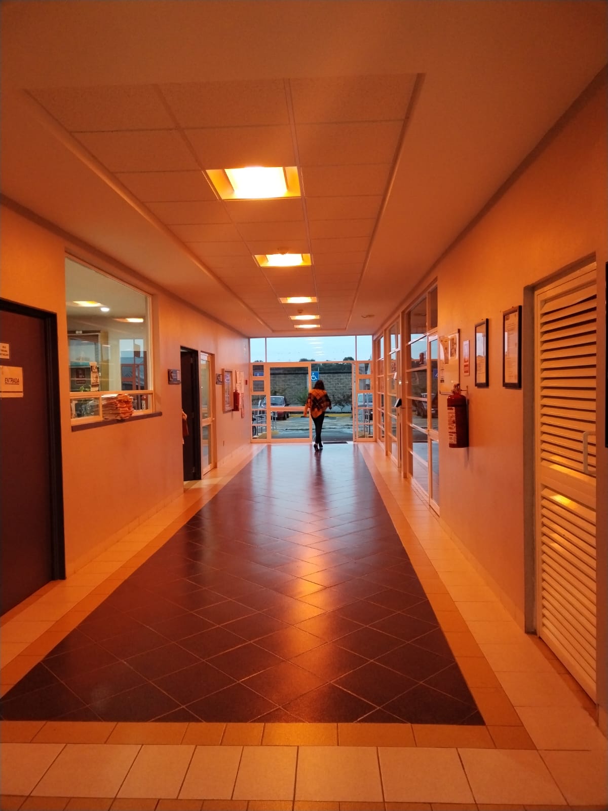 SSG informa tipos de violencias persistentes en contra de la mujer en la región de Salamanca.