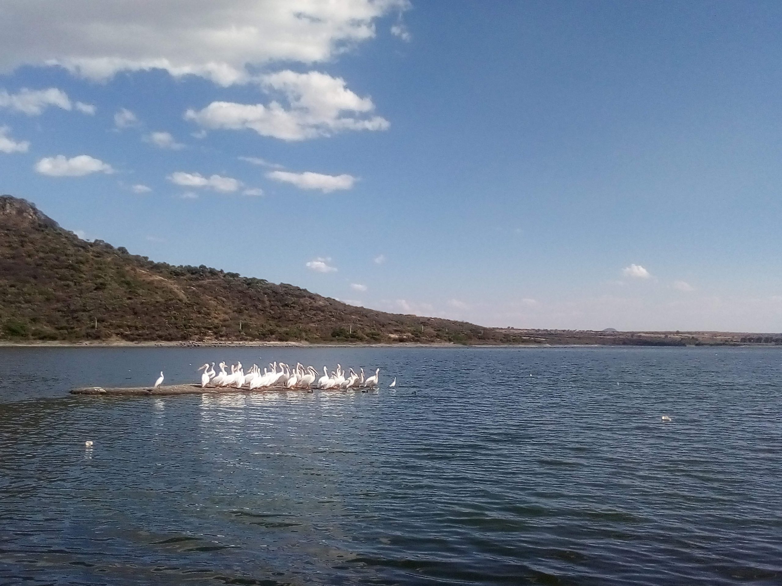 Cerro de Arandas y Presa La Purísima cumplen 20 años de ser declaradas Áreas Naturales Protegidas