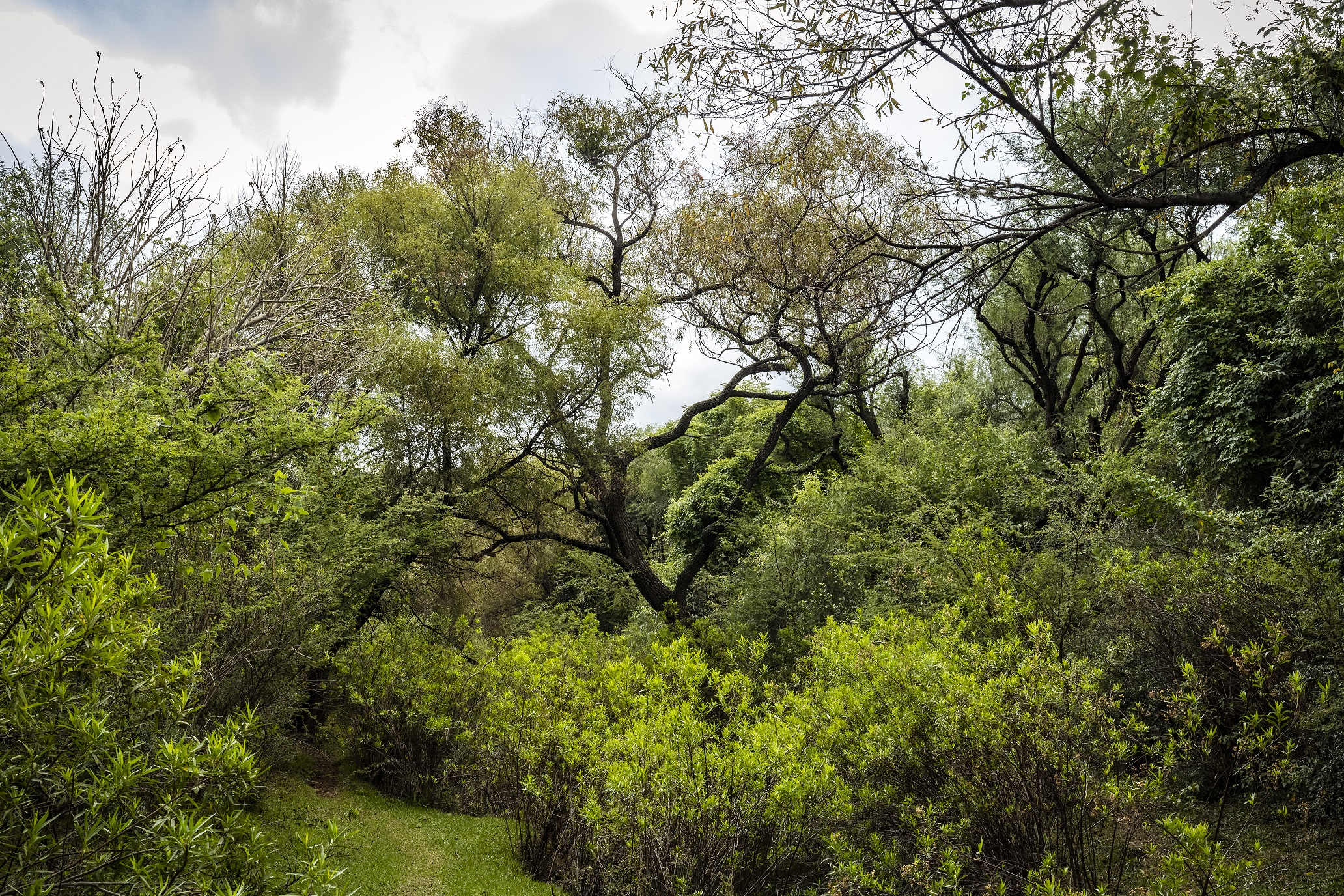  Desarrollan acciones y estrategias por la conservación de las Áreas Naturales Protegidas del Estado de Guanajuato