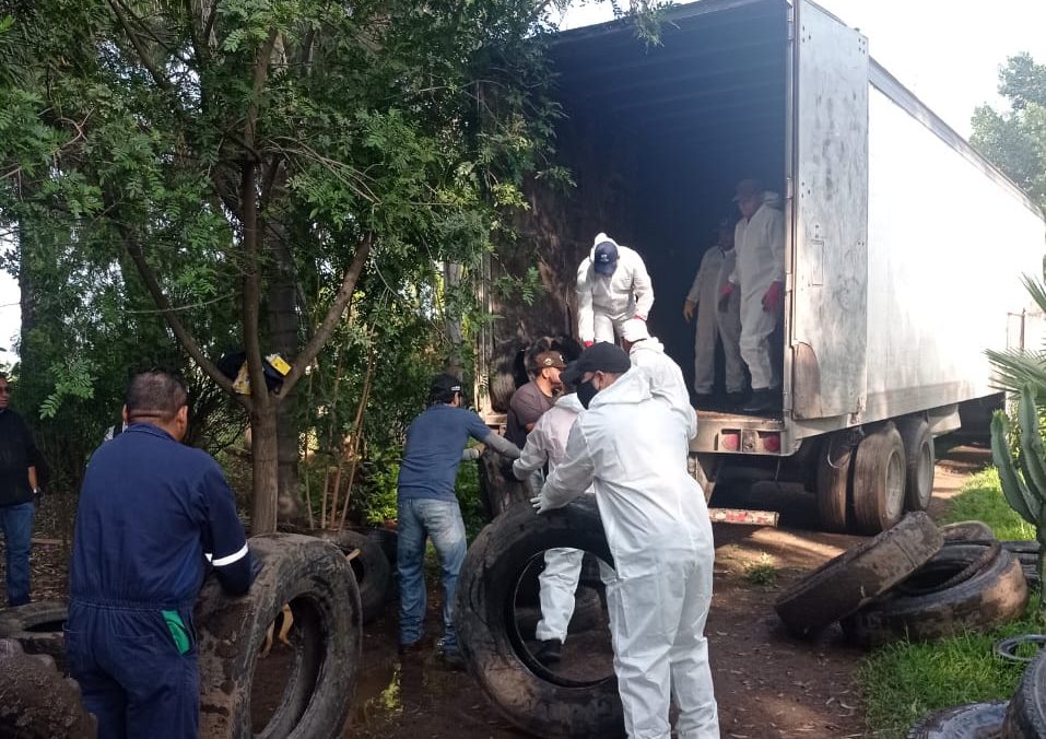 SSG emprende jornadas de descacharrización en Salamanca y Valle de Santiago.