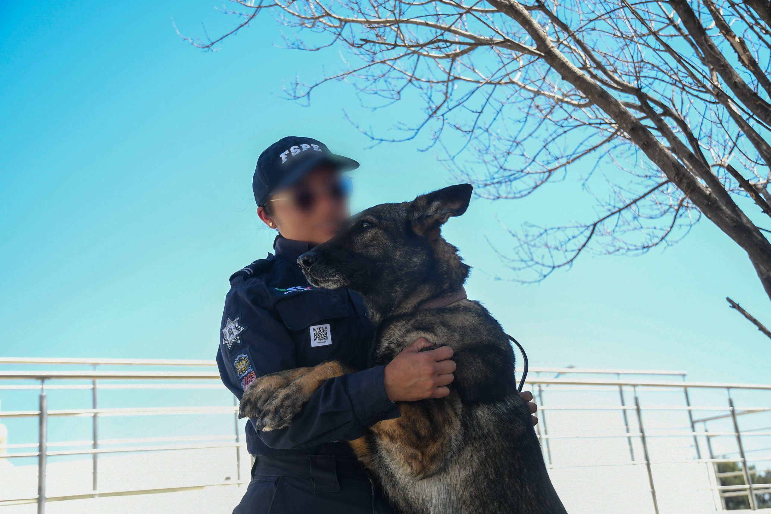 Ellas y sus binomios K9: compromiso al servicio de la seguridad en Guanajuato  