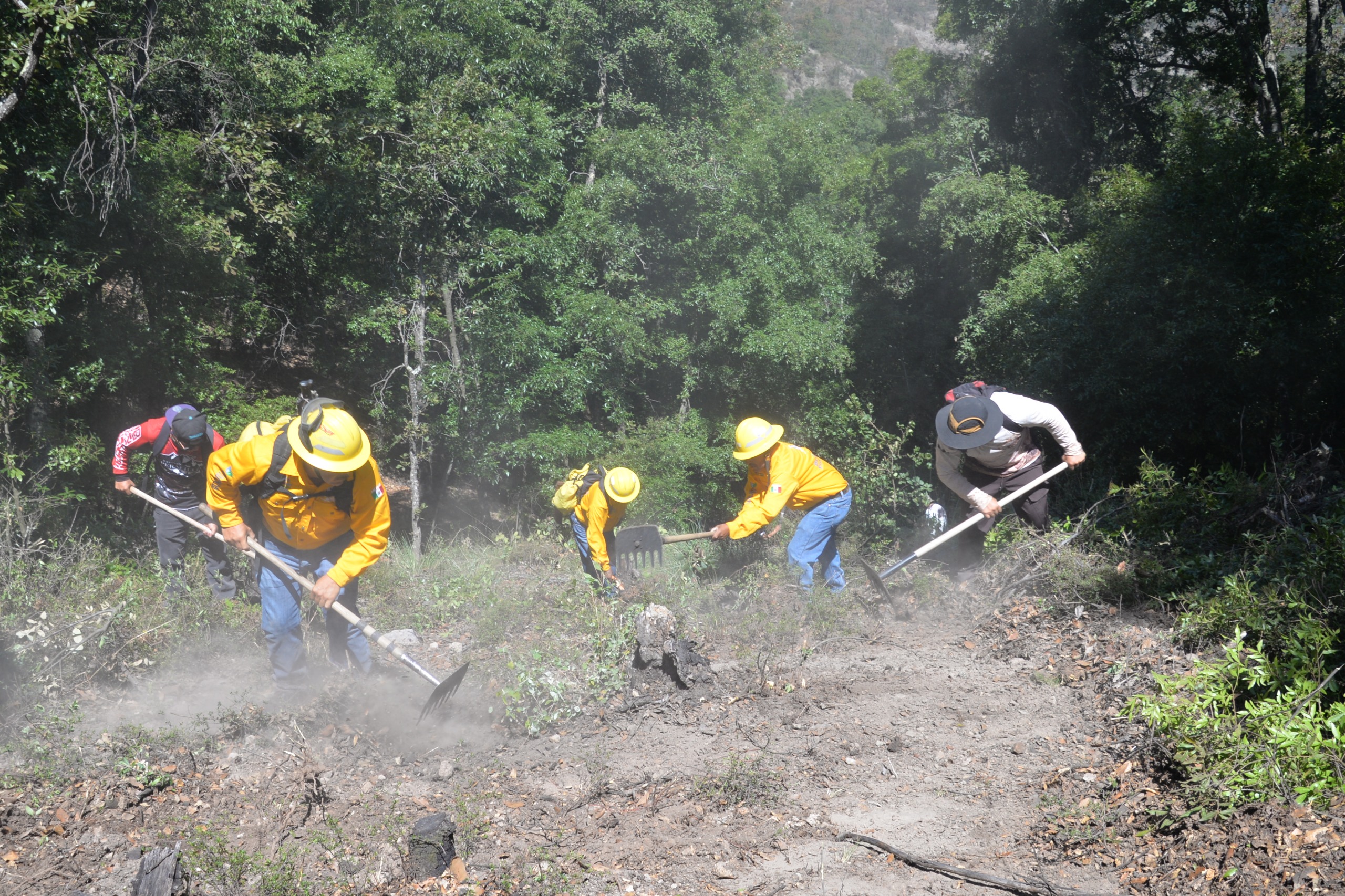Fortalecen la prevención de incendios forestales
