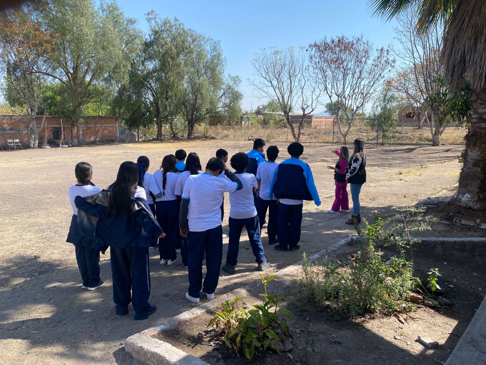 Escuelas participan en programa de plantación de árboles en Abasolo