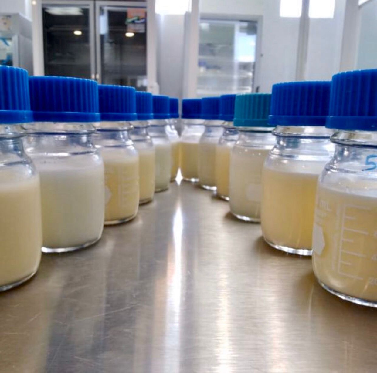 SSG conmemora Día Mundial de la Donación de la Leche Materna.