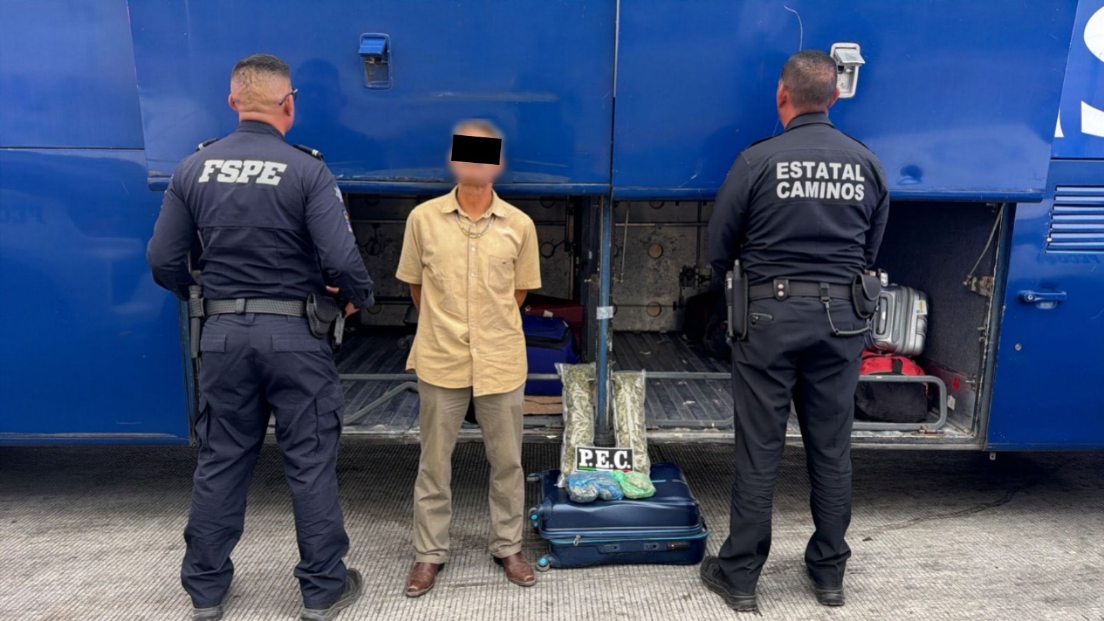 Asegura PEC más de mil dosis de presunta marihuana en autobús de pasajeros en Salamanca 