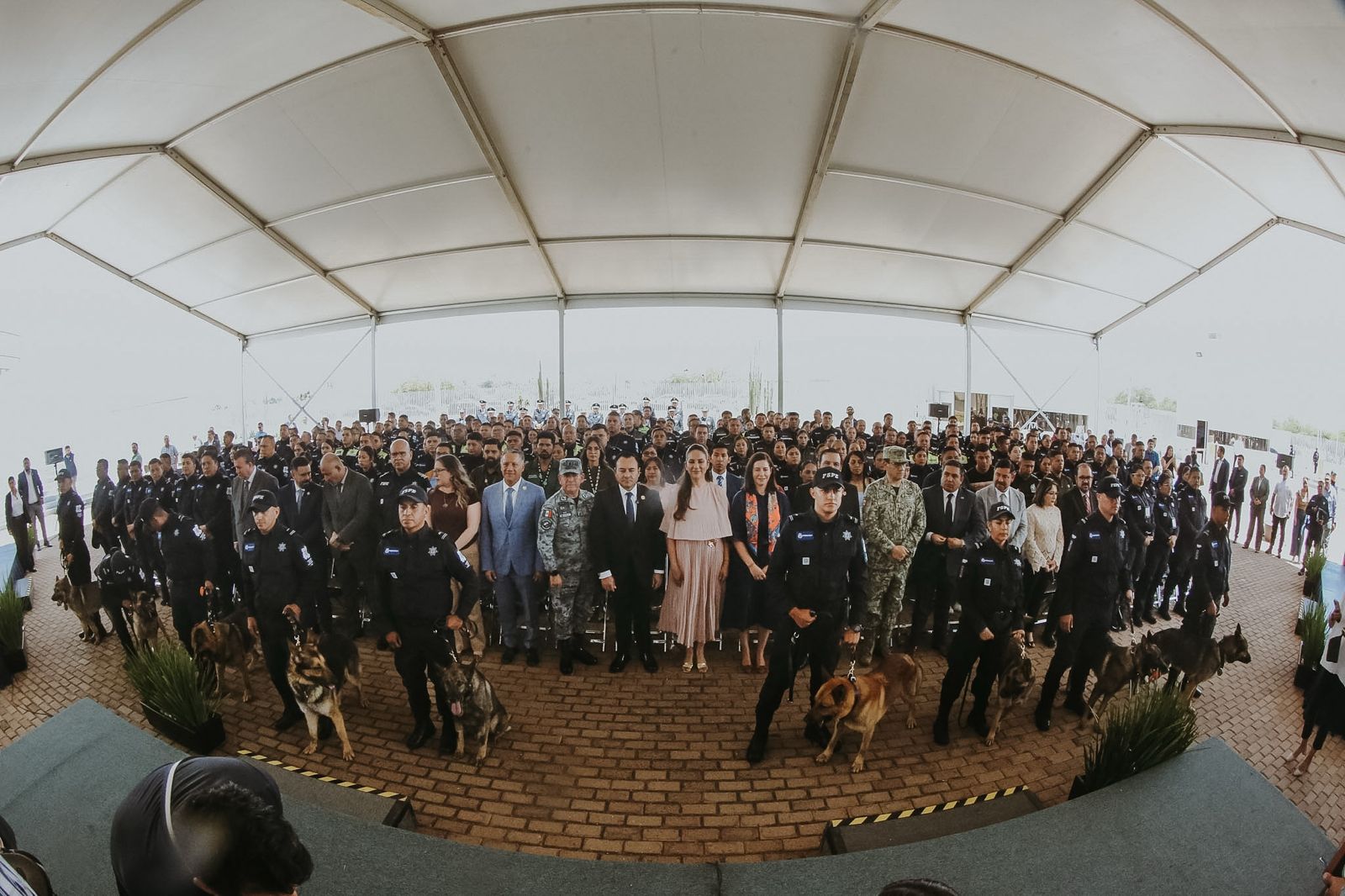 Hoy se jubilan 10 caninos de la Unidad K9, ¡Misión Cumplida!: Gobernadora
