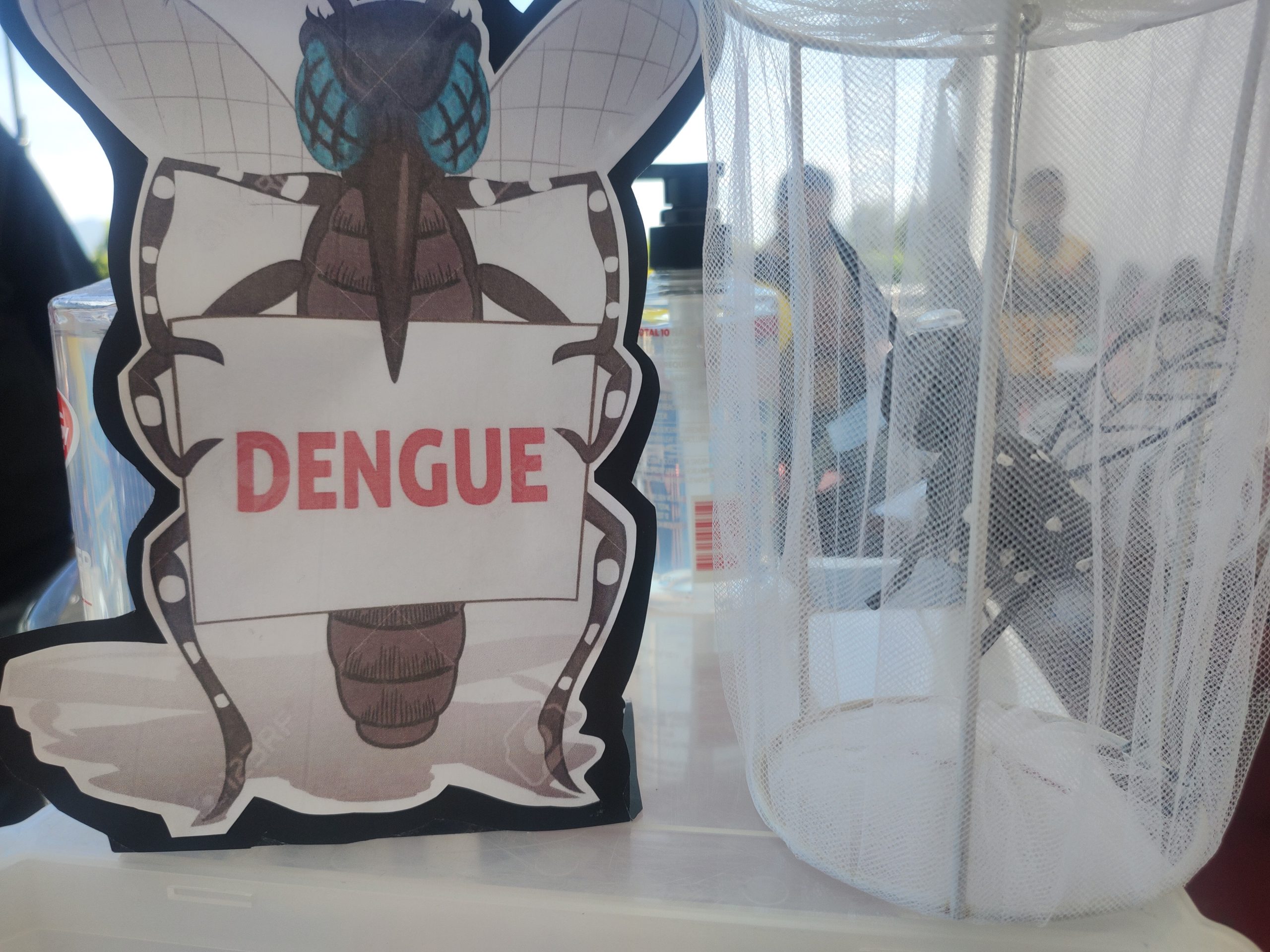 SSG registra una reducción del 60 por ciento en casos de dengue en relación con el año pasado.