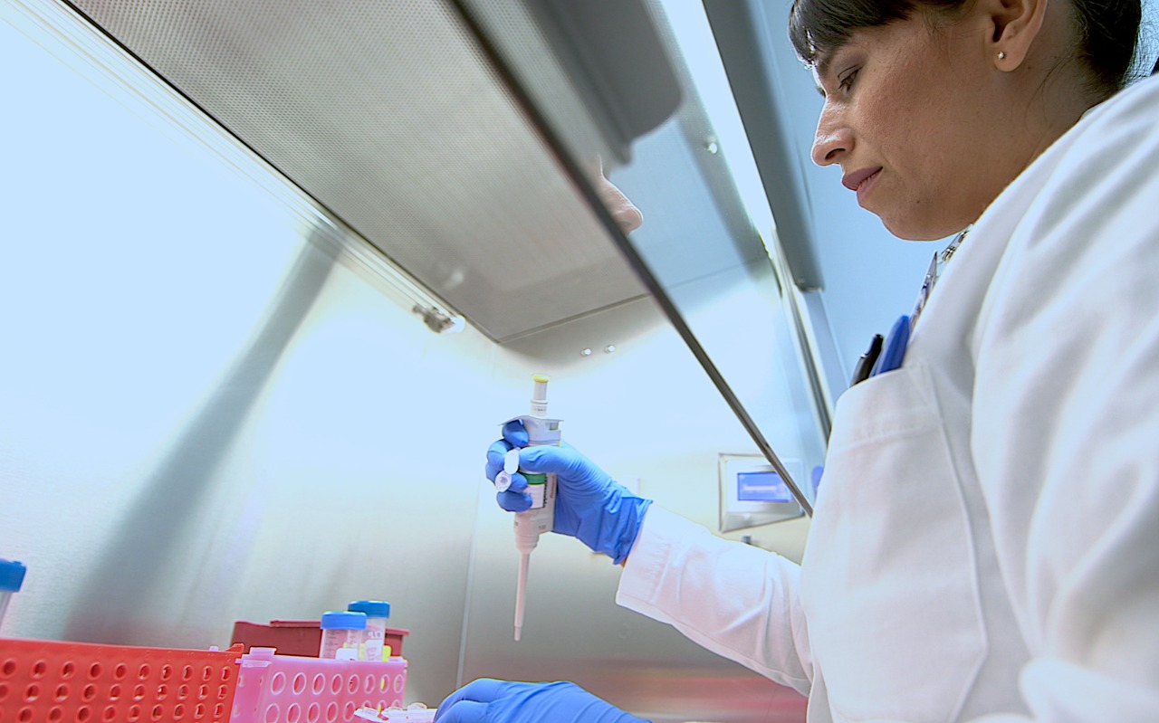 SSG mantiene vigilancia epidemiológica activa y refuerza medidas preventivas ante el gusano barrenador.