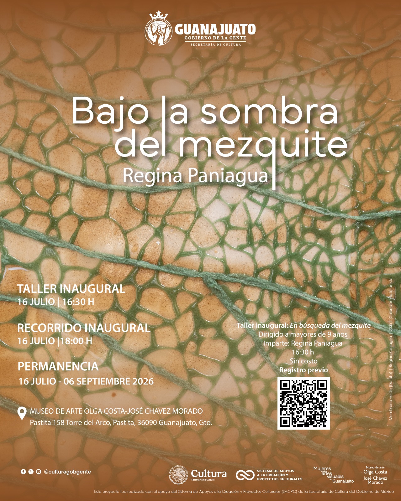Secretaría de Cultura impulsa el talento de las mujeres artistas con la inauguración de Bajo la sombra del mezquite