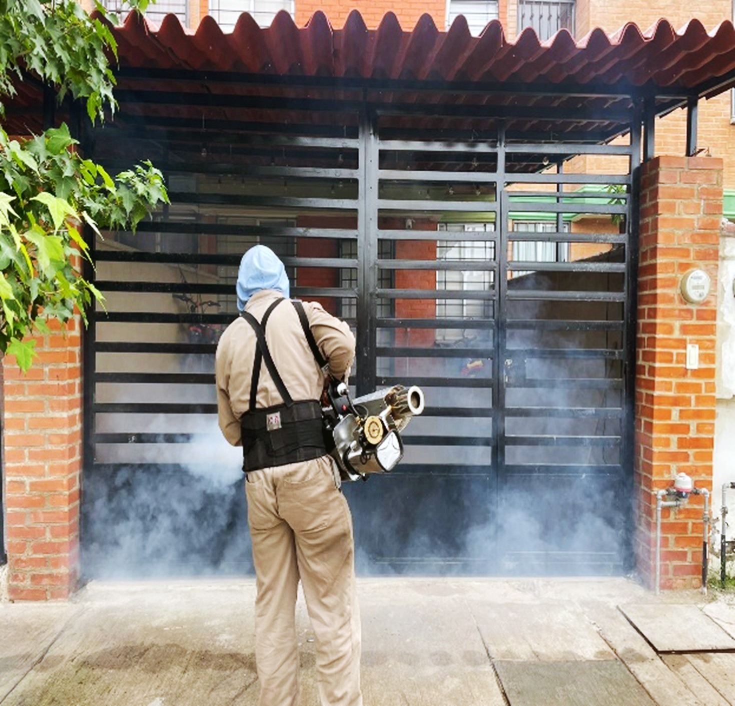 SSG reporta reducción de 77 por ciento en casos de dengue.