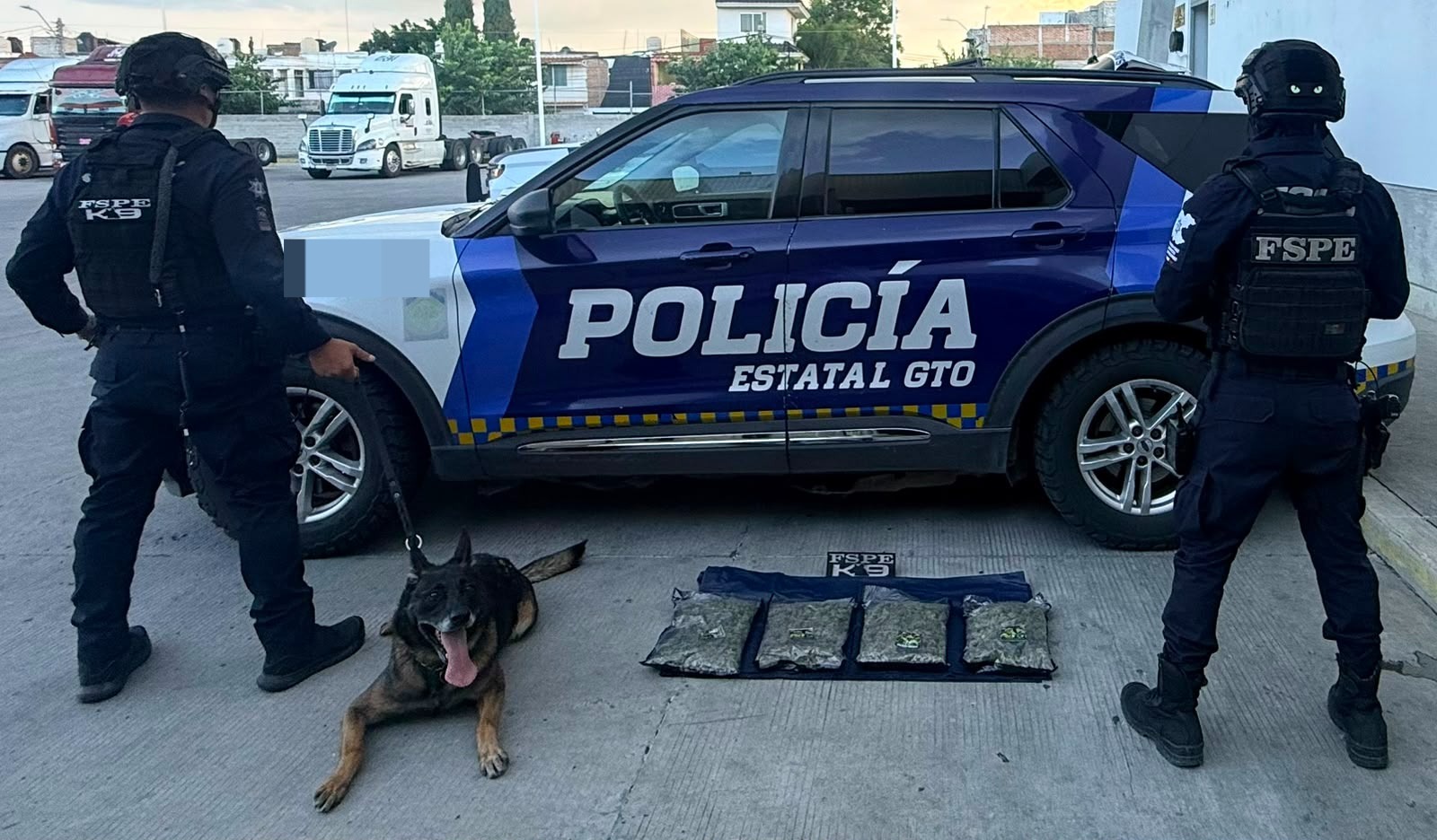 Detecta Unidad K9 más de 2 mil dosis de presunta marihuana