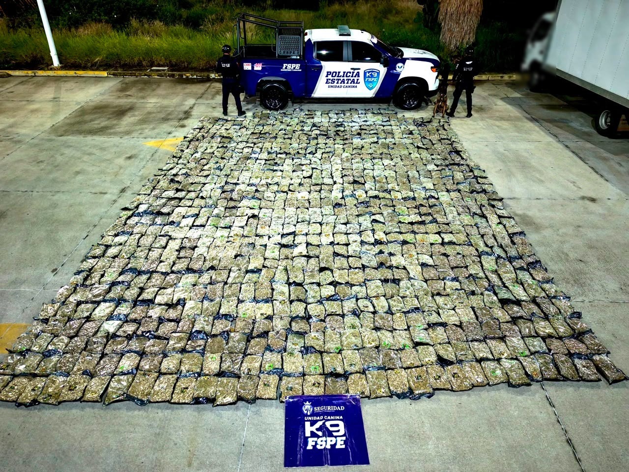 Detecta oficial canino de las FSPE más de media tonelada de presunta marihuana en paquetería de León