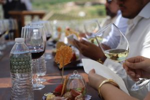 Guanajuato, el segundo estado más premiado de México por la calidad de nuestros vinos