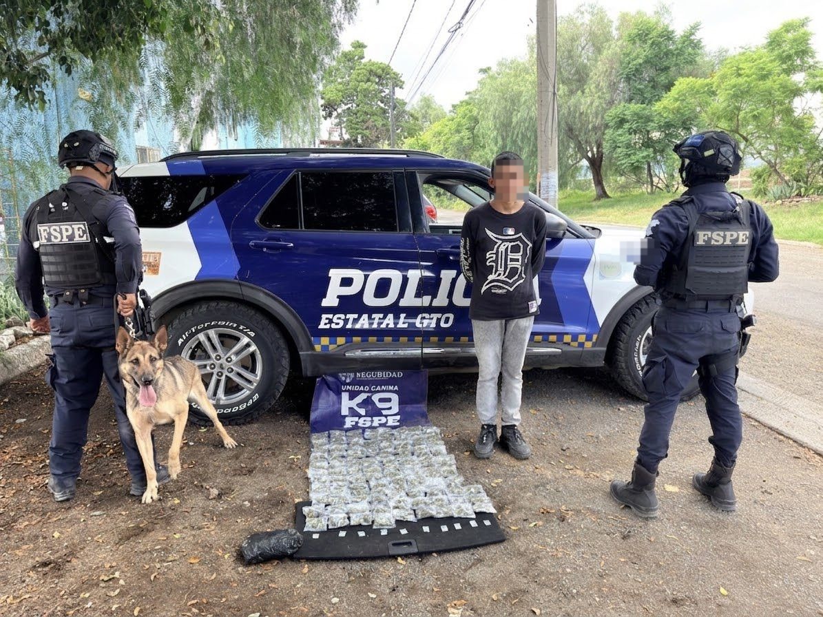 Detecta binomio canino “Evetk” más de mil dosis de presunta droga en León 