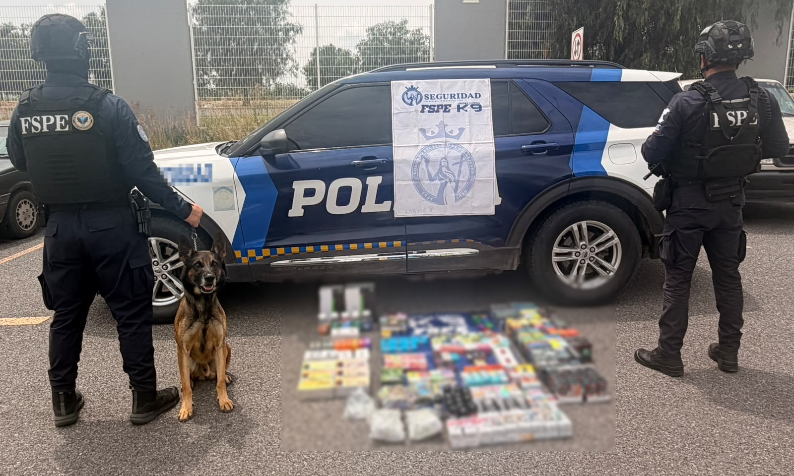 Detecta oficial canino 330 vapeadores en paquetería de Salamanca