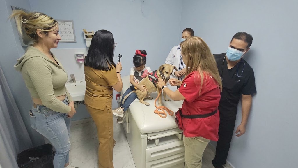 SSG innova con terapia asistida con animales de compañía para mejorar la atención paliativa pediátrica.