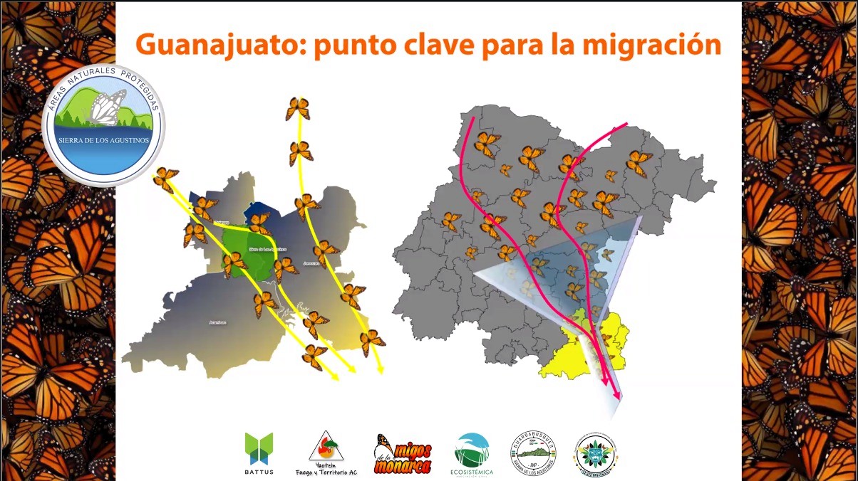 Procuraduría Ambiental realiza plática Travesía Monarca 2026